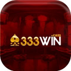 333wincam