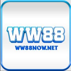 WW88nownet