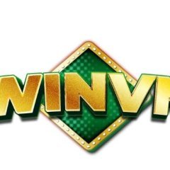 winvndink