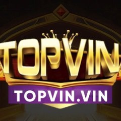 topvinvin