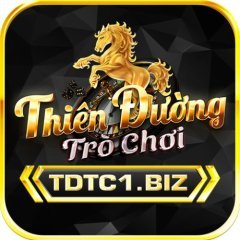 tdtc1biz
