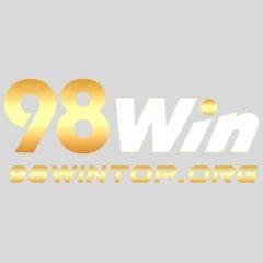 98wintoporg