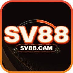 SV88cam