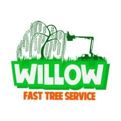 willowtreeremoval
