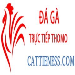 dagacattie