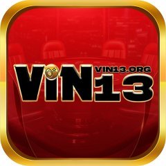 vin13org