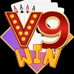 v9wininfo1