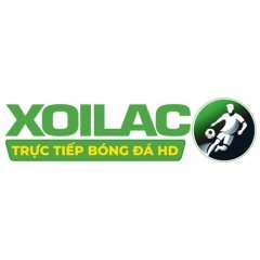 most-fit.com giả mạo