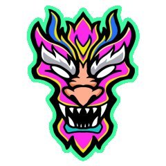 dragonfighterbjj