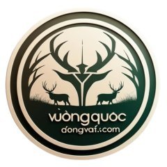 Động Vật - Khám Phá Thế Giới Động Vật