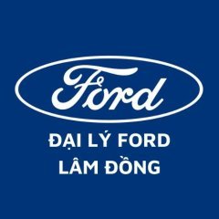 dailyfordlamdongay