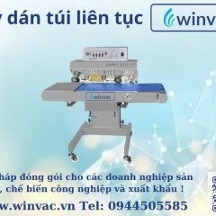 winvacvp