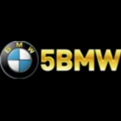 55bmwnetph1