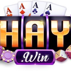 1haywintech