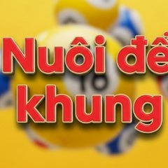 nuoidekhung
