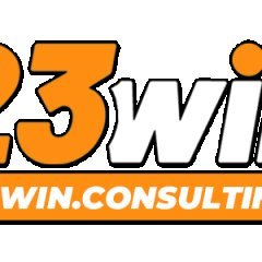 23Winconsulting
