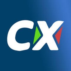 crickexbetnet net