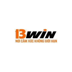 13Winjpnet