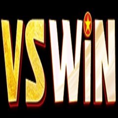 vswinws