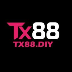 tx88diy