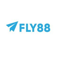fly88schule