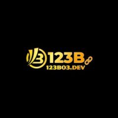 123b03dev
