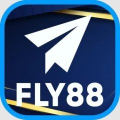 Fly88gbnet