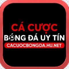 cacuocbongdahunet