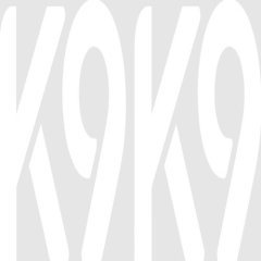 k9k9slot
