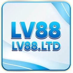lv88ltd