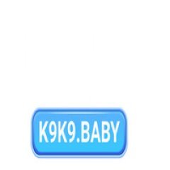 k9k9baby