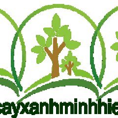 cayxanhminhhieu