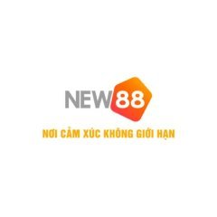 New88info2025