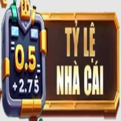 trangchutylenhacai1
