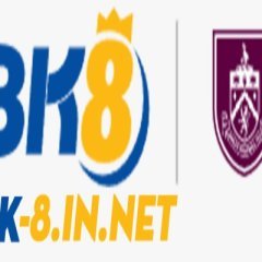 Bk8innet1