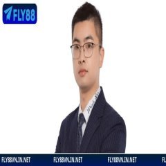 ceovincenttuanfly88com