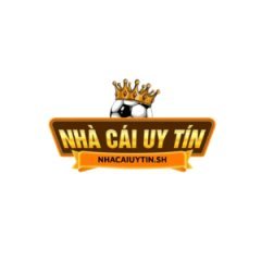 nhacaiuytinshvn