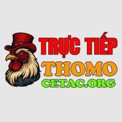 dagayoutructiepcetac
