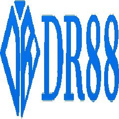 dr88vnbiz