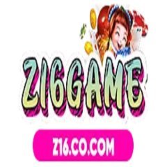z16co1